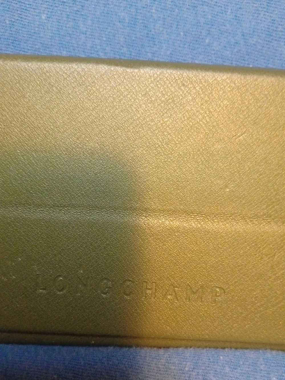 Longchamp Glasses Case